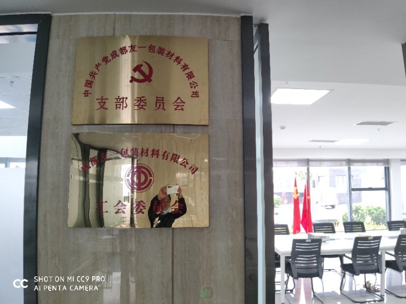热烈祝贺佰富彩集团成都分公司党支部在2020年3月11日授牌成立，，，，，，，，支部书记曹云(行政部经理)